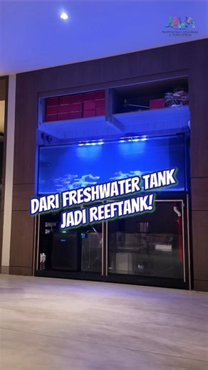 Professional Aquarium & Pond Design on Instagram: "Freshwater jadi REEF TANK! Upgrade total tanpa ribet Kami tangani dari sistem, scaping, sampai tank siap reef Punya tank lama tapi pengen naik level? Serahin ke JAVA yang paham konsep & eksekusi Contact us for a consultation Vide 0812-9088-8189 🌐Cek jasa desain akuarium & pond di website kita: jasadesainaquariumkolam.com #aquarium #aquariumhobby #pond #reeftank #predatortank #javafreshaquatic #javaaquatic #javapetco #javareef #javaaquatic #kola