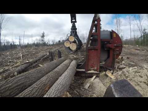 SMASHING LOGS!!