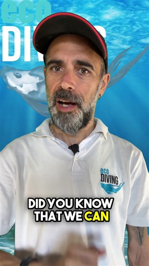 How to Clear Water from Your Scuba Diving Mask