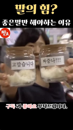 좋은 말 과 나쁜 말의 결과는? #구독과좋아요 #좋은글 #좋은말 #나쁜말 #말 #동기부여 #삶의지혜 #인생조언 #인생 #실험 #유튜브쇼츠