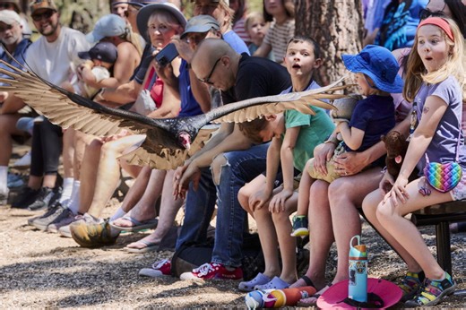 Bend's High Desert Museum receives accreditation from Association of Zoos and Aquariums