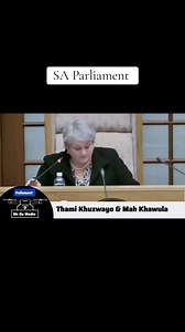 SA Parliament: Points of Order and Speaker Authority