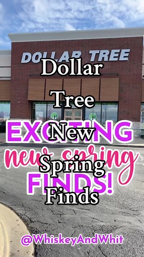 New Spring Dollar Tree DIY and Decor Finds Worth Buying