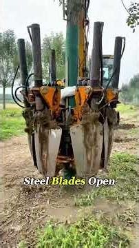 How This Machine Moves a Whole Tree#TreeTransplanting#TreeSpade#TreeMover