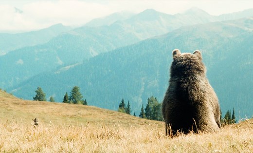 万物皆有灵！豆瓣评分9.1，1988年的奥斯最佳影片《熊的故事》