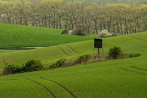 Small Hunting Property? Here Are 6 Improvements That Will Make a Big Difference