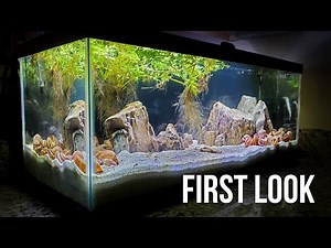 I Tried to Make an EASY Aquascape for Shell Dwellers (ft. ‪@TazawaTanks‬)