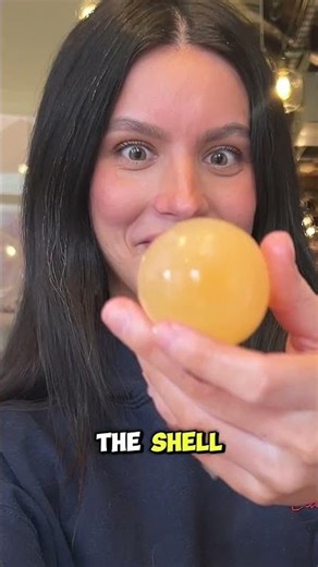 DIY Bouncy Egg Experiment! 🥚