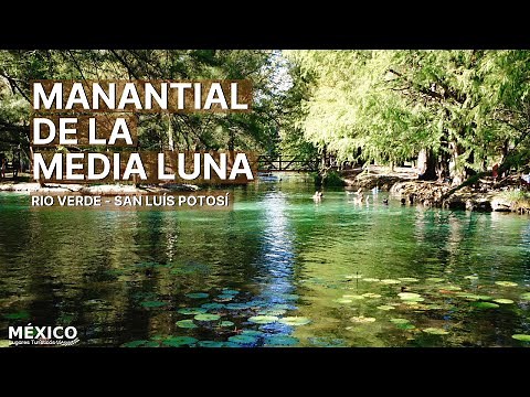 Lagoon and Spring of the Media Luna in Rio Verde San Luís Potosí | Huasteca Potosina