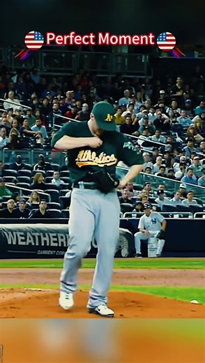 Exciting MLB Baseball Highlights You Can't Miss