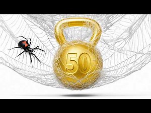 How Much Weight Can a Spider Web Hold?