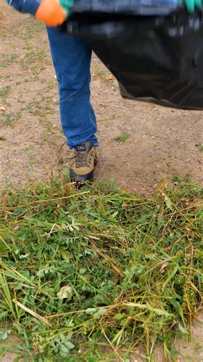 596K views · 2.3K reactions | Simple garden hacks that really work | 5-Minute Crafts | Facebook