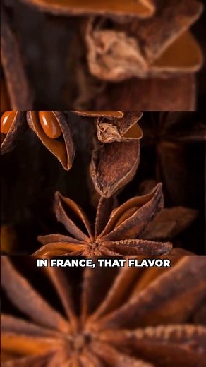 The Origins of Pernod and Ricard