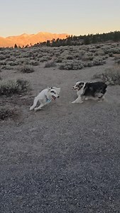 Pumped up! | Stella Girl