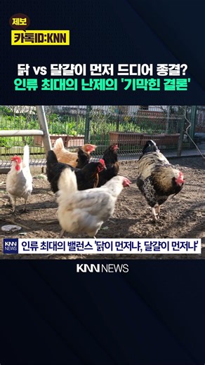 "The Chicken vs. the Egg: Who Comes First?" Thousands of Years of Battle Finally 'Ended' / KNN