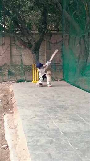 practice for a sweep shot in my net session #cricket #cricketlover #ipl #sports