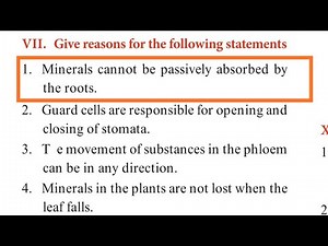 10th SCIENCE BIOLOGY Unit 14 GIVE REASON part 1 Qn.1 tamil Minerals passively roots Circulation