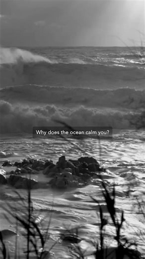 Why the Ocean Calms You (It’s Not Just Sound)