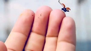 148K views | Bob Proctor on Reels | Facebook