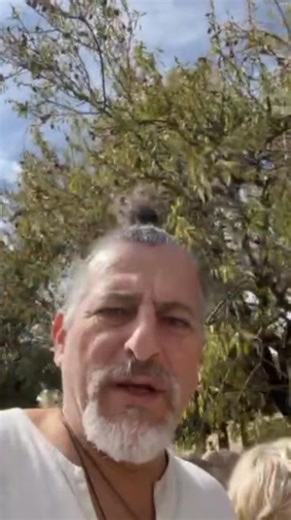 8.5K views · 215 reactions | A wild almond tree in Delphi, Greece. | David Wolfe | Facebook