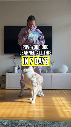 No yelling. No stress. Just results. The Raising Dog book makes training simple, calm, and actually enjoyable – for both of you. 🐶💕 | Raising Dog