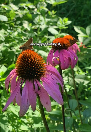 Protecting Future Generations through Environmental Education