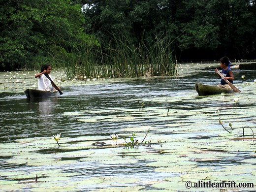 Why I Love the Rio Dulce in Guatemala   How to Visit