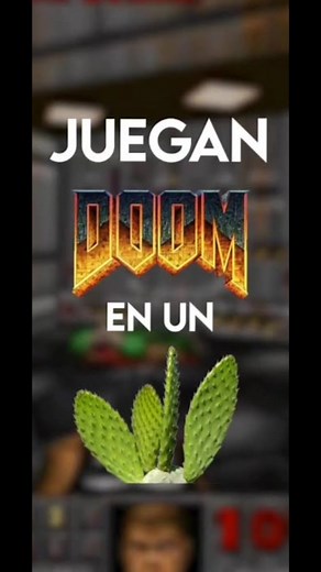 Nopales: Plantas Resistentes que Crecen en Cualquier Lugar