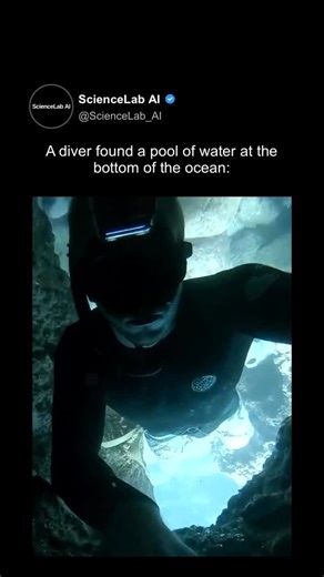 ScienceLab Decoded on Instagram: "What looks like a diver hovering above a lake on the seafloor is actually an optical illusion. The diver is upside down, and that calm, reflective surface is not water at all. What appears to be a lake is a pocket of air trapped between rocks at the bottom of the ocean. Because the air is held in place by the surrounding stone and pressure, it creates a mirror like surface that looks just like water from this angle. When the diver moves closer, the illusion beco