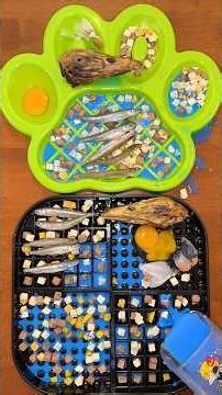 ASMR dinner for my 2 dogs 🦆🐟🦮 #shorts #asmr #dog #viral