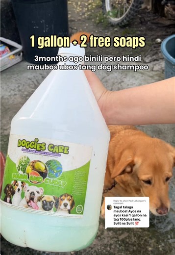Replying to @Jhon Paul Labatigan Sobrang sulit! Isang gallon na ng dog shampoo may pa free soaps pa! Madre De Cacao dog shampoo na apaka bango 😩💗 dog shampoo for dogs dog shampoo shih tzu dog shampoo anti tick and flea dog shampoo 1 gallon dog shampoo for itchy skin dog shampoo full set dog shampoo anti odor dog shampo and conditioner set dog shampoo dispenser dog shampoo conditioner #dogshampoo #petlover #dogsoftiktok #petsoftiktok #petessentials