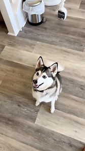 5.3K views · 135 reactions | Cuddle Clones on Reels | Facebook