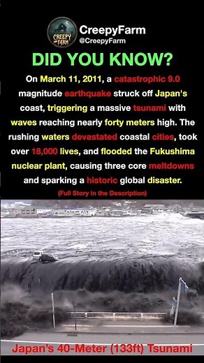 The 2011 Tsunami: Japan's Largest Wave Ever Recorded