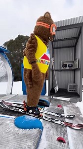 17K views · 140 reactions | Spotted at Friday Flat! Wally the wombat...