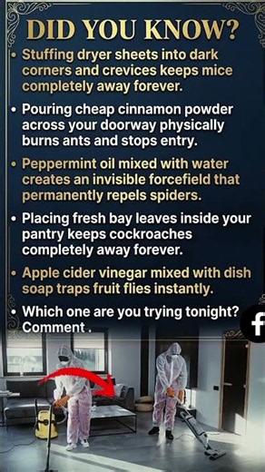 Keep Bugs Away With These Simple Tricks