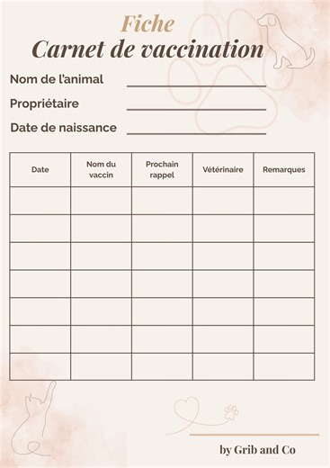 Printable Vaccination Record Sheet | Pet Vaccination Tracking | Downloadable A4 PDF | Dog, Cat, and Small Animal Organization - Etsy