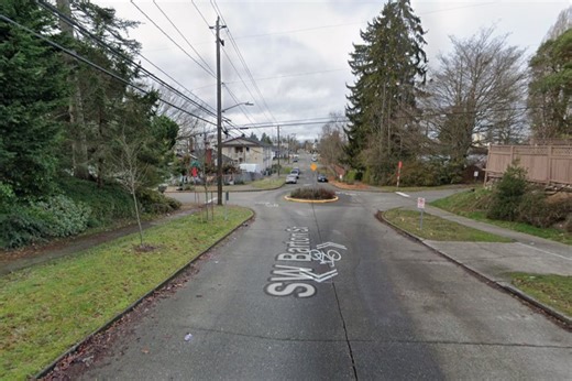 Highland Park Little Free Library Torched, West Seattle Fumes