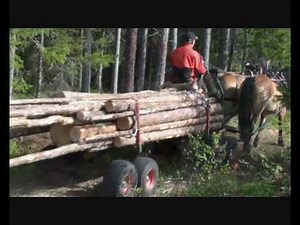 Horse logging in Swedish Lapland.wmv