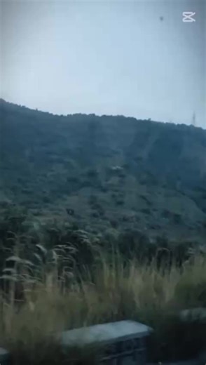 学校旅游：探寻好奇心与冒险的结合