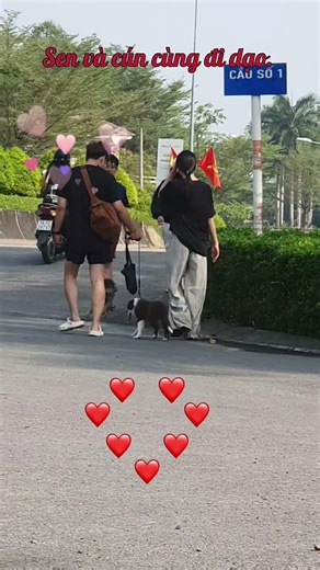 GIA ĐÌNH CÚN CUỐI TUẦN đi dạo rồi gặp nhau, thích quá # Tú Vân Happy Cooking #pets #dog #animals