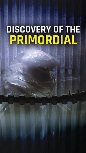 Discovery of the Primordial - Flood History (Part 6) #halo #halolore #lorewithwes #fyp