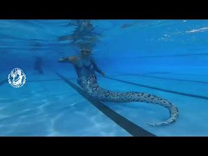 Japan's first human snake. Amazing and flexible diving snake tail appears in Japan🐍