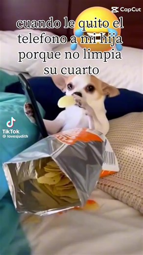 Videos de noemi Ramos❤️✨ (@noemiramos691) con “sonido original - noemi Ramos❤️✨”