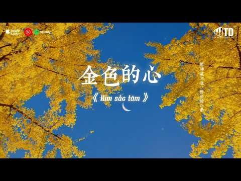 🎵 [Playlist] Nhạc Trung Hot TikTok | Những Bản Nhạc Mới Nhất Douyin Trung Quốc 2026
