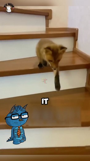 The Fennec Fox's Search for a Lifelong Companion | Pet Squad