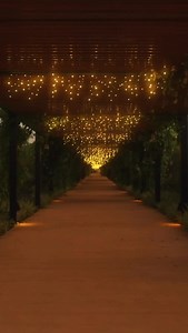 Close your eyes. Let the wind, the water, the sand guide you back to yourself. Live Aqua. Time to live. | Live Aqua