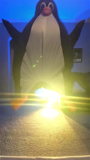 Learn the Macarena Dance with Penguins