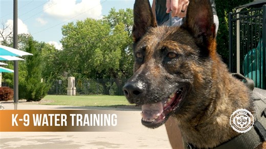 What a splash! 🐶🌊☀️ As pools are closing for the summer, the KBI K-9 Unit took the opportunity to bring their K-9s out for one last splash. Our K-9s are trained on various skills to assist KBI agents in the field. Apprehension is one skill they learn and, while perpetrators are usually on dry land, the K-9s need to know what to do when the bad guys start swimming. Watch how the KBI K-9 Unit, alongside other local law enforcement, train the K-9s to encounter danger in the water. Thank you Kenwo