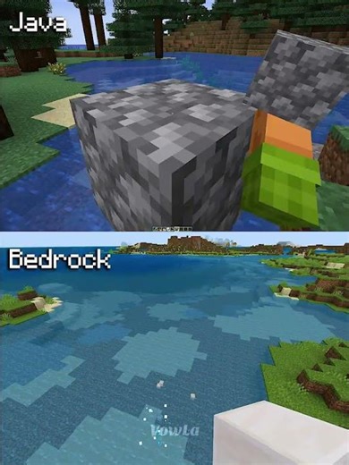Minecraft Actions and Stuff Java vs Bedrock Part 28