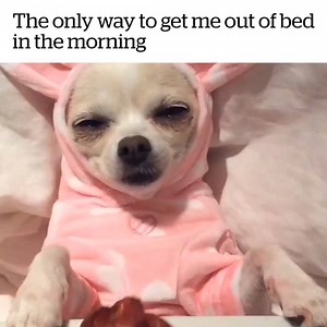 Monday morning struggles 😂 | VT